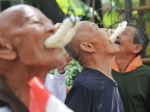 Asal-usul 5 Lomba 17 Agustusan Populer dan Makna di Baliknya