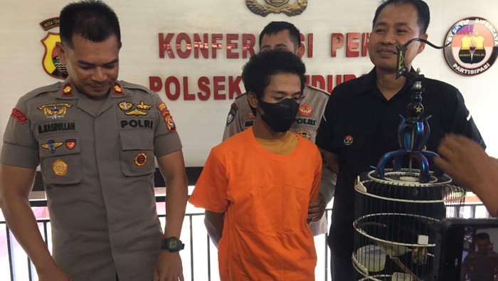 Pelaku pencurian burung kecial terekam kamera CCTV ditangkap di Mapolsek Sandubaya Mataram, Selasa (9/8/2022).
