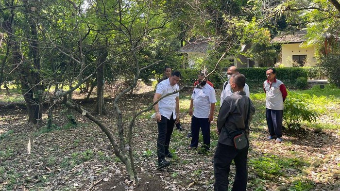 Polisi Cek Info Tersangka Dapat Biji Kokain di Kebun Raya Bogor, Ini Hasilnya
