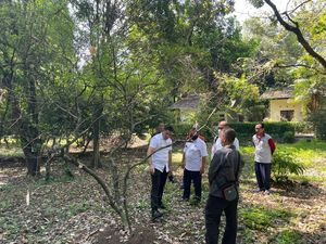BRIN: Kebun Raya Bogor Tak Koleksi Tanaman Bahan Pembuat Kokain