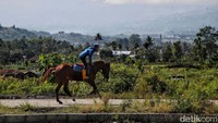 Penunggang kuda melintas di area pertanian di Desa Mekarwangi, Cibolang, Garut. Lanskap Garut sangat indah, dijuluki Swiss Van Java.