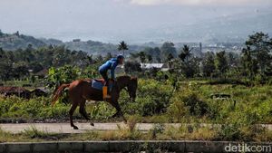 Daftar 14 Desa Wisata yang Digejot Pemerintah dan Swasta