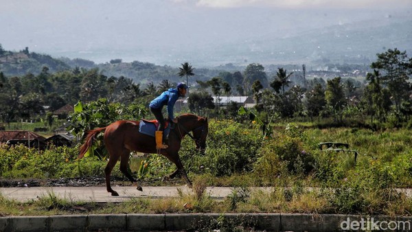 Penunggang kuda melintas di area pertanian di Desa Mekarwangi, Cibolang, Garut. Lanskap Garut sangat indah, dijuluki Swiss Van Java. Penunggang kuda melintas di area pertanian di Desa Mekarwangi, Cibolang, Garut. Lanskap Garut sangat indah, dijuluki Swiss Van Java.