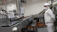Pekerja memantau proses produksi Haagen-Dazs di pabrik yang berlokasi di Tilloy-les-Mofflaines, Perancis bagian utara. Foto-foto ini dijepret pada Senin (5/11/2018). 