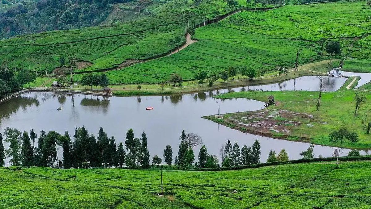 Keajaiban Danau Puncak Bogor: Surga Tersembunyi Di Tengah Gunung