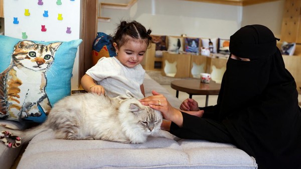 Pecinta kucing juga dapat mengunjungi lounge untuk bertemu dan bermain dengan para kucing.