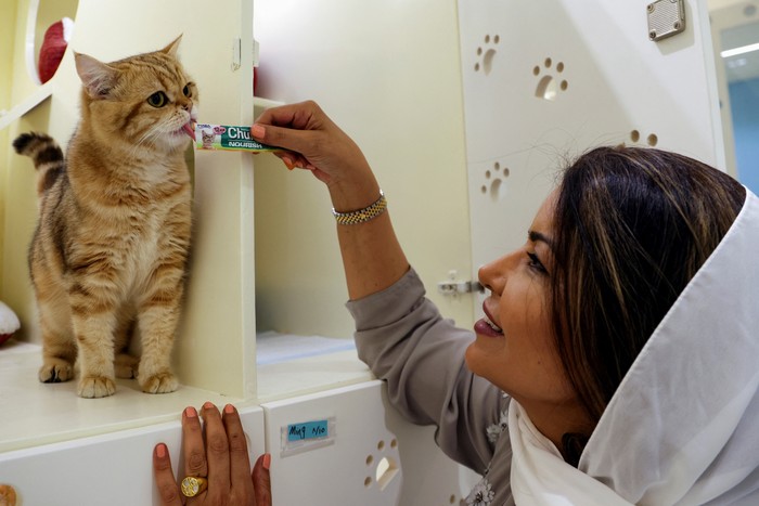 A Saudi youth brings his cat to 