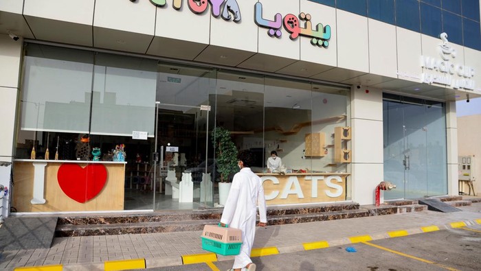 Unik, Ini Dia Hotel Hewan Peliharaan Pertama di Arab Saudi A Saudi youth brings his cat to