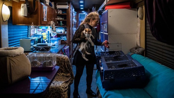 Martin juga mengelola Rock Cats Rescue di Gerogia, Amerika Serikat. Meski pelatihan terhadap hewan masih kontroversial, Martin menggunakan teknik yang disebut clicker, yang diklaim hanya melibatkan penguatan positif dalam pelatihannya. Martin juga mengelola Rock Cats Rescue di Gerogia, Amerika Serikat. Meski pelatihan terhadap hewan masih kontroversial, Martin menggunakan teknik yang disebut clicker, yang diklaim hanya melibatkan penguatan positif dalam pelatihannya.