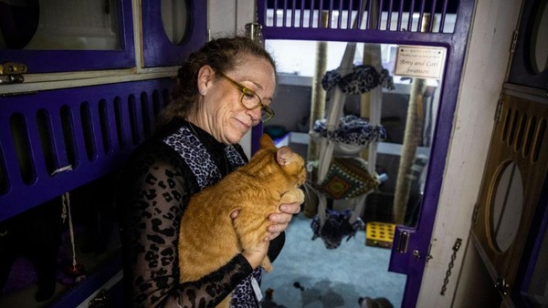 Didirikan oleh Samantha Martin, The Amazing Acro-Cats berisi sejumlah kucing yang sudah terlatih. Kucing-kucing tersebut merupakah hasil rescue atau adopsi dari kucing-kucing liar maupun terlantar. Didirikan oleh Samantha Martin, The Amazing Acro-Cats berisi sejumlah kucing yang sudah terlatih. Kucing-kucing tersebut merupakah hasil rescue atau adopsi dari kucing-kucing liar maupun terlantar.