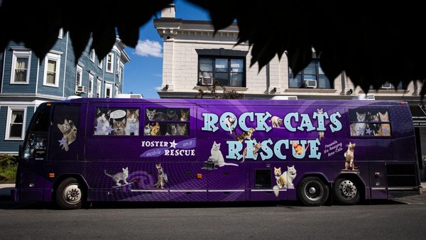 Bus wisata The Amazing Acro-Cats diparkir di luar Regent Theatre di Arlington sebelum pertunjukan mereka pada Jumat malam, (29/7/2022). Kelompok The Amazing Acro-Cats mengadakan tur di sejumlah lokasi di Amerika Serikat pada Juli lalu.