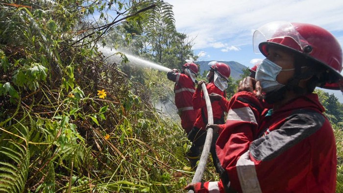 UPAYA PEMADAMAN KARHUTLA DI SAMOSIR Petugas Direktorat Sabhara Polda Sumatera Utara berusaha memadamkan kebakaran hutan dan lahan (karhutla) di Desa Simulop, Pangururan, Samosir, Sumatera Utara, Senin (8/8/2022). Seratusan personel gabungan dari Manggala Agni, TNI, Polri dan instansi terkait diterjunkan ke lokasi kebakaran yang telah menghanguskan sekitar 49 hektare lahan di empat desa di daerah itu.. ANTARA FOTO/Fransisco Carolio/WS/wsj.