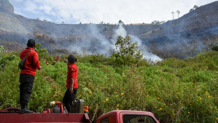Petugas Direktorat Sabhara Polda Sumatera Utara berusaha memadamkan kebakaran hutan dan lahan (karhutla) di Desa Simulop, Pangururan, Samosir, Sumatera Utara, Senin (8/8/2022). Seratusan personel gabungan dari Manggala Agni, TNI, Polri dan instansi terkait diterjunkan ke lokasi kebakaran yang telah menghanguskan sekitar 49 hektare lahan di empat desa di daerah itu.. ANTARA FOTO/Fransisco Carolio/WS/wsj.
