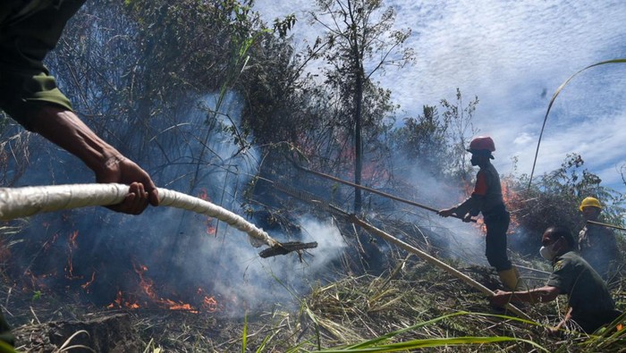 Petugas Direktorat Sabhara Polda Sumatera Utara berusaha memadamkan kebakaran hutan dan lahan (karhutla) di Desa Simulop, Pangururan, Samosir, Sumatera Utara, Senin (8/8/2022). Seratusan personel gabungan dari Manggala Agni, TNI, Polri dan instansi terkait diterjunkan ke lokasi kebakaran yang telah menghanguskan sekitar 49 hektare lahan di empat desa di daerah itu.. ANTARA FOTO/Fransisco Carolio/WS/wsj.