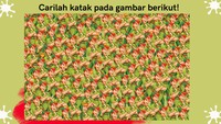Terakhir nih, carilah katak pada gambar berikut!