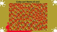 Coba cari ikan nemo di sini!