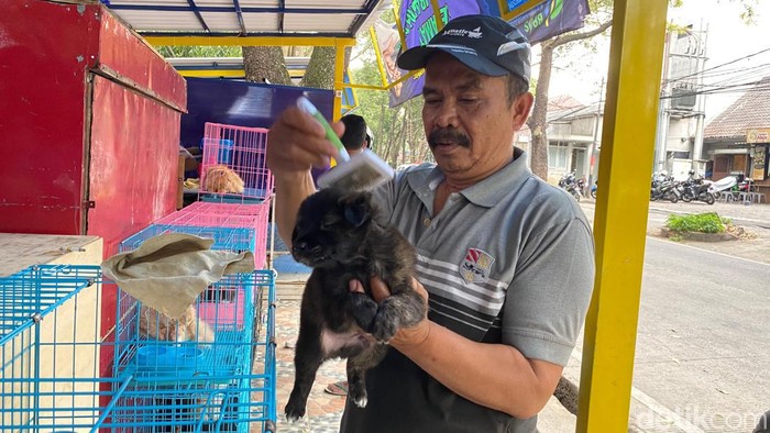 Geliat jual beli hewan di Jl dr Otten, Kota Bandung