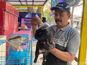Geliat Jual-Beli Satwa di Tikungan Otten Bandung