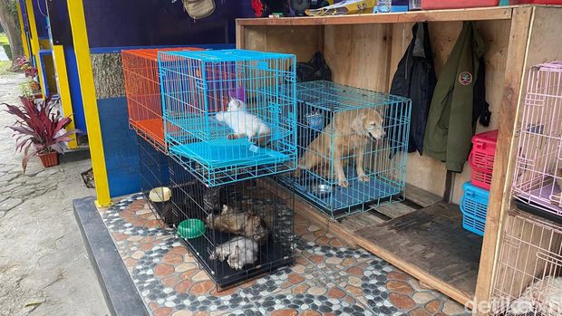 Geliat jual beli hewan di Jl dr Otten, Kota Bandung