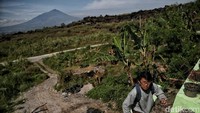 “Pagar betis itu sendiri adalah masyarakat dilibatkan, difasilitasi ke gunung untuk menyisir para pemberontak itu. Nah, saya kira, munculnya mitos itu berkaitan dengan kisah itu. Jadi bagaimana masyarakat jangan sampai, kalau di Sunda ngadaruwahken atau gaduh sehingga membuat mereka ketahuan,” terang Warjita.