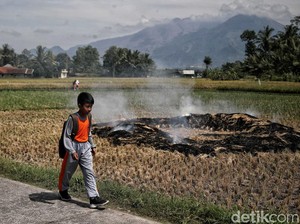 Gunung Guntur Dicemari Doktrin Islam Radikal