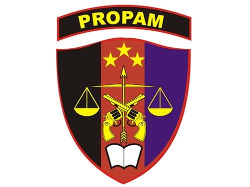 Logo Propam