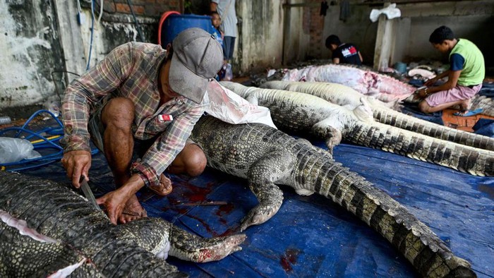 People buy crocodile meat from a street vendor on the outskirts of Phnom Penh, on August 9, 2022. (Photo by TANG CHHIN Sothy / AFP) (Photo by TANG CHHIN SOTHY/AFP via Getty Images)