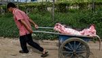 Begini Kesibukan Rumah Potong Buaya di Kamboja