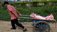 Buaya yang sudah dikuliti dikirim kepada pedagang kaki lima untuk dijual.