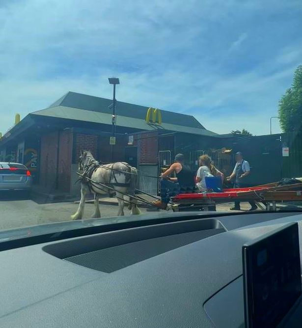 Naik Kereta Berkuda Pesan Drive Thru McD, Pelanggan Ini Tak Dilayani