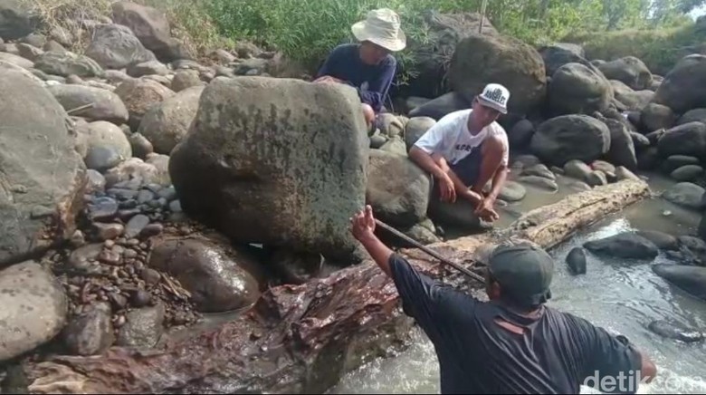 Penemuan artefak kayu kuno di Ngawi Penemuan artefak kayu kuno di Ngawi