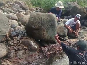 Artefak Kuno di Ngawi Sempat Dipotong Jadi Kayu Bakar-Kini Buat Wisata