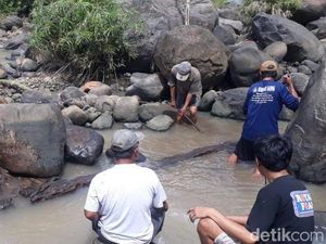 Warga Ngawi Heboh Temukan Artefak Kayu, Diduga Perahu Kuno