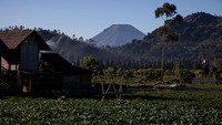 Lansekap Dieng dengan latar Gunung Prau. Agustus menjadi puncak musim kemarau di sekitar Dieng, sehingga bulan ini embun es diprediksi akan sering muncul.