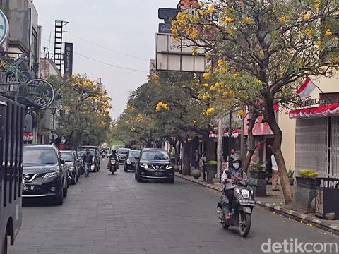Pohon tabebuya di Jalan Braga Bandung mulai bermekaran.