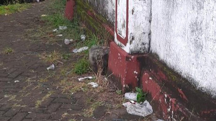 Sampah berserakan di Museum Villa Yuliana.