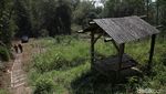 Potret Batu Unik di Atas Bukit Garut yang Terlupakan