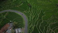 Hingga April 2022, Jalur Pansela yang memiliki panjang 417 kilometer tersebut perbaikannya telah mencapai 94,89 persen.