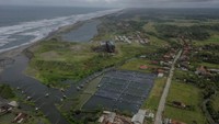Bagaimana menurut Anda detikers?