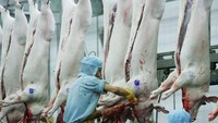 Tukang jagal sedang memotong babi untuk kemudian dijual ke konsumen. Foto: VCG via Getty Images/VCG