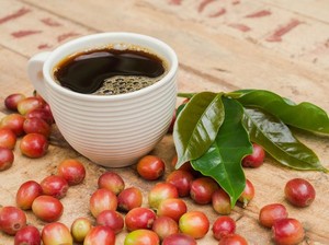 3 Fakta Kopi Liberika, Jenis Kopi yang Beraroma Unik