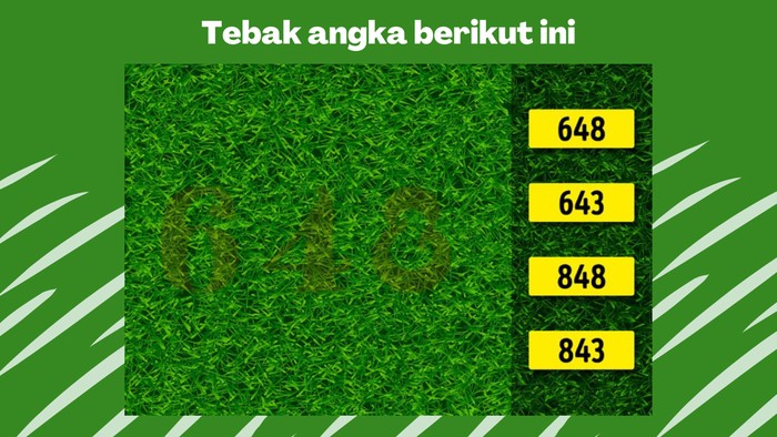 Kamu membutuhkan konsentrasi untuk bisa melihat angka pada gambar berikut.