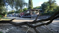 Rumah perahu bertengger di saluran samping Sungai Waal yang mengering akibat kekeringan di Nijmegen. Akibat dari kekeringan itu sejumlah sungai mengalami penyusutan volume air hingga nyaris kering.