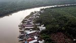 Foto Udara Hutan Mangrove di Jambi jadi Kebun Sawit