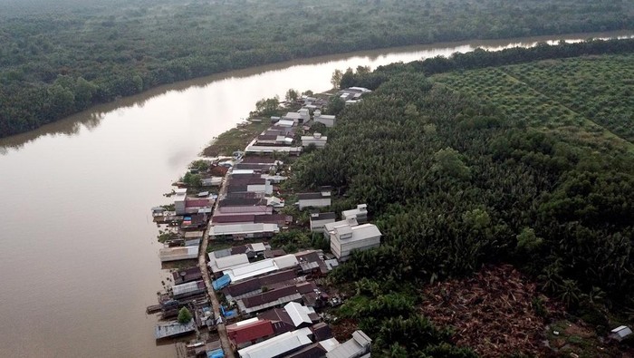 Foto udara lahan perkebunan kelapa sawit skala besar, tanaman mangrove, dan permukiman di kawasan penyangga Cagar Alam Hutan Bakau Pantai Timur Sumatera, Mendahara, Tanjungjabung Timur, Jambi, Rabu (10/8/2022). Warga setempat menyebutkan, tinggi muka air sungai selama musim pasang naik sejak tiga tahun terakhir di daerah itu terus meninggi sehingga mulai merendam kawasan permukiman setempat, sementara alih fungsi tanaman mangrove menjadi perkebunan kelapa sawit skala besar di daerah itu terus bertambah marak sejak lima tahun terakhir. ANTARA FOTO/Wahdi Septiawan/foc.
