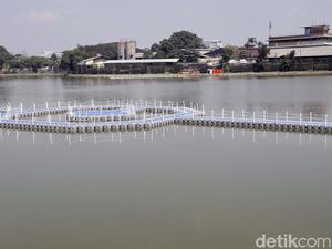 Menjelajahi Situ Rawa Kalong yang Baru Diresmikan Ridwan Kamil dan Bonge