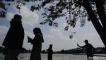 Ini Dia Situ Rawa Kalong Depok yang Sudah Dibuka, Kok Masih Digembok?