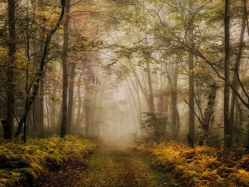 iPhone Photography Awards 2022