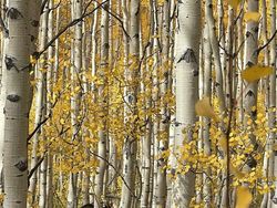 Jawara Kontes Foto iPhone 2022 yang Bikin Terpukau