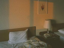 Jawara Kontes Foto iPhone 2022 yang Bikin Terpukau